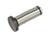 Valve Tappet:1734073